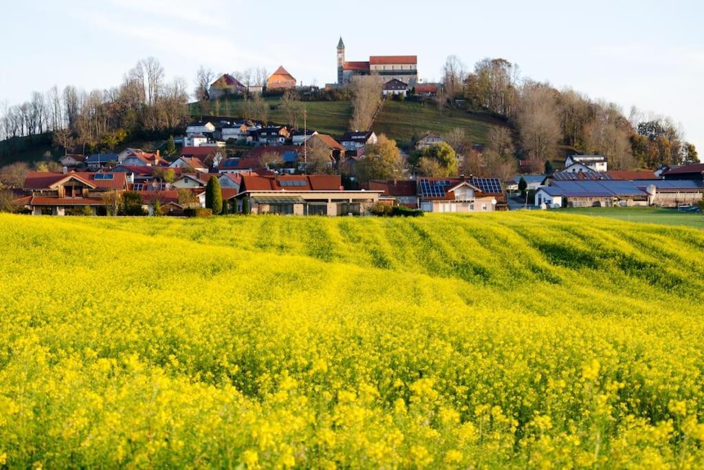 Ferienwohnung Anita Jandelsbrunn Bagian luar foto